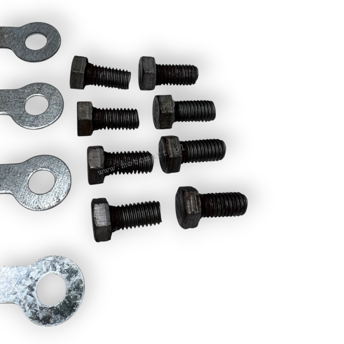 VITI + SICUREZZE DIFFERENZIALE K750 URAL DNIEPR piastra di trasmissione supporto rondella
